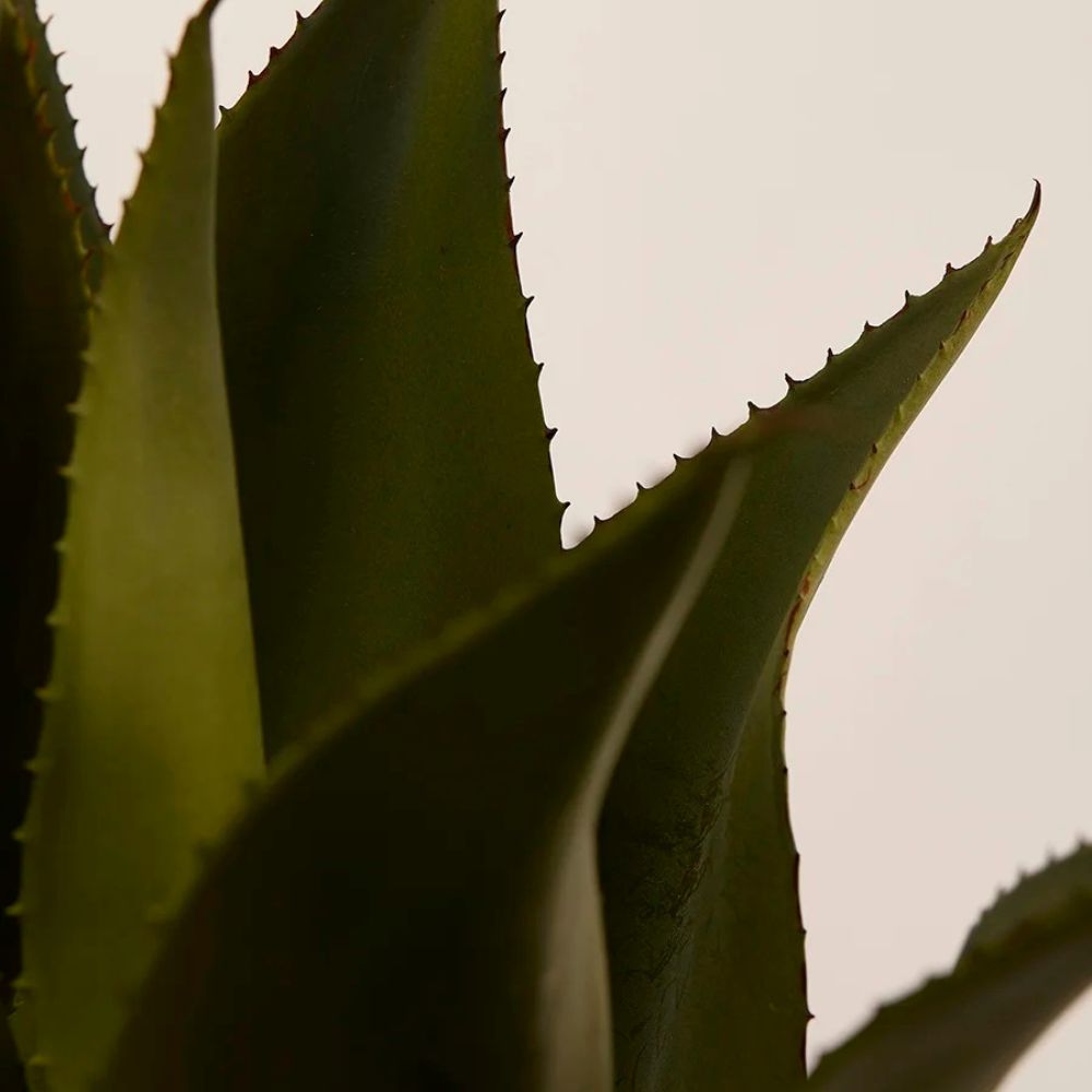 Planta decorativa in ghiveci, 51 cm, Agave  - SIMONA'S COLLECTION