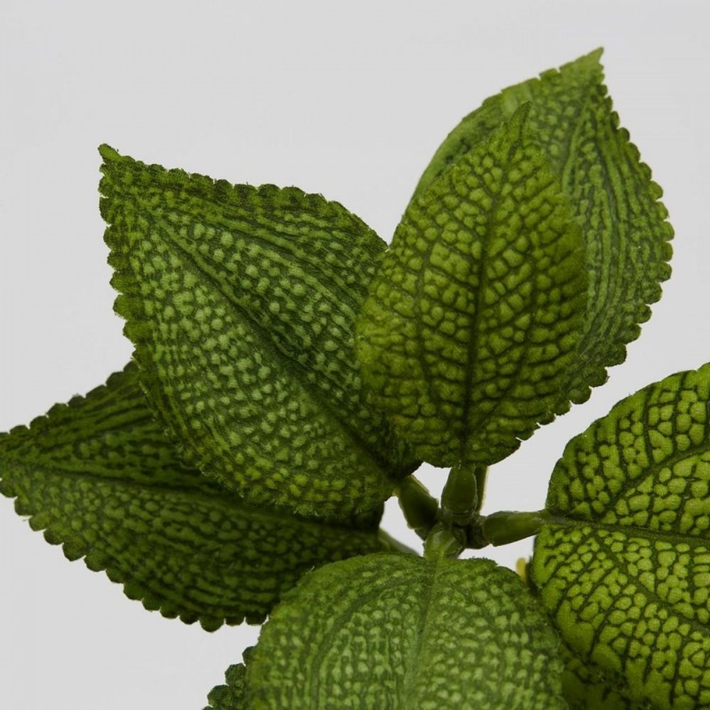 Ramura cu frunze Coleus, verde, 24 cm, - SIMONA'S COLLECTION