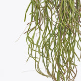 Planta decorativa Rhipsalis, verde, 84 cm - SIMONA'S COLLECTION