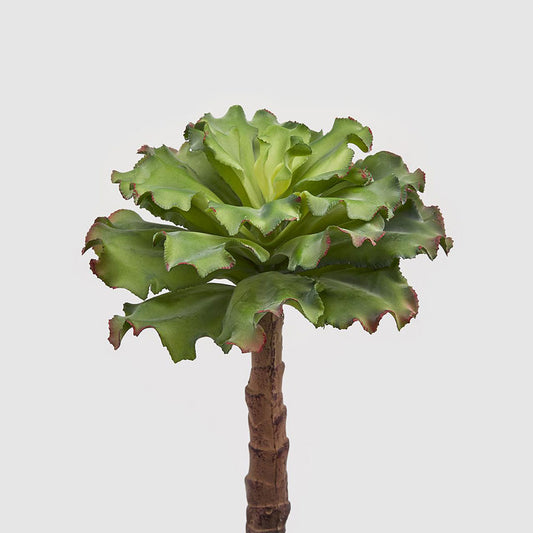 Planta suculenta decorativa West, verde, 36 cm - SIMONA'S COLLECTION