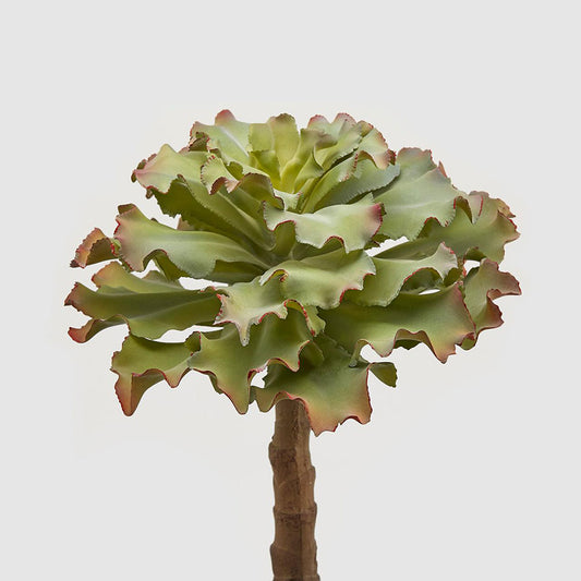 Planta suculenta decorativa West, verde, 38 cm - SIMONA'S COLLECTION