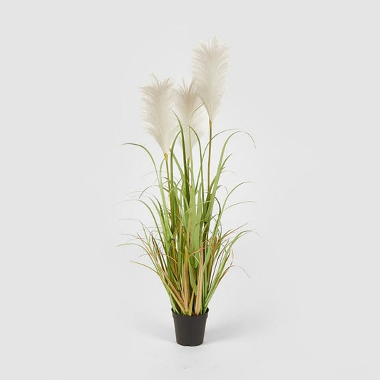 Planta decorativa Pampas in ghiveci, ivory, 105 cm - SIMONA'S COLLECTION