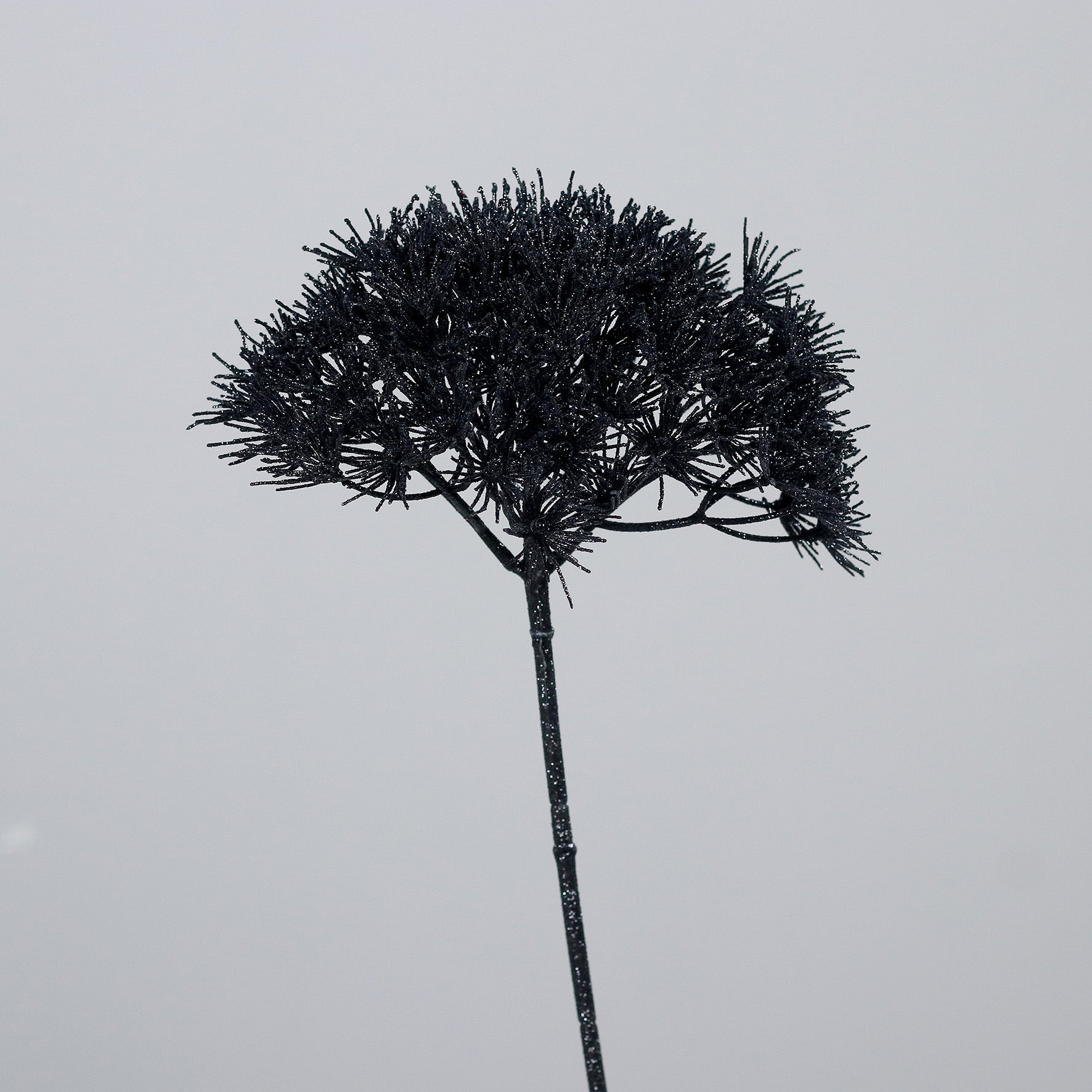Floare decorativa, negru, 75 cm, Allium - Simona's Christmas
