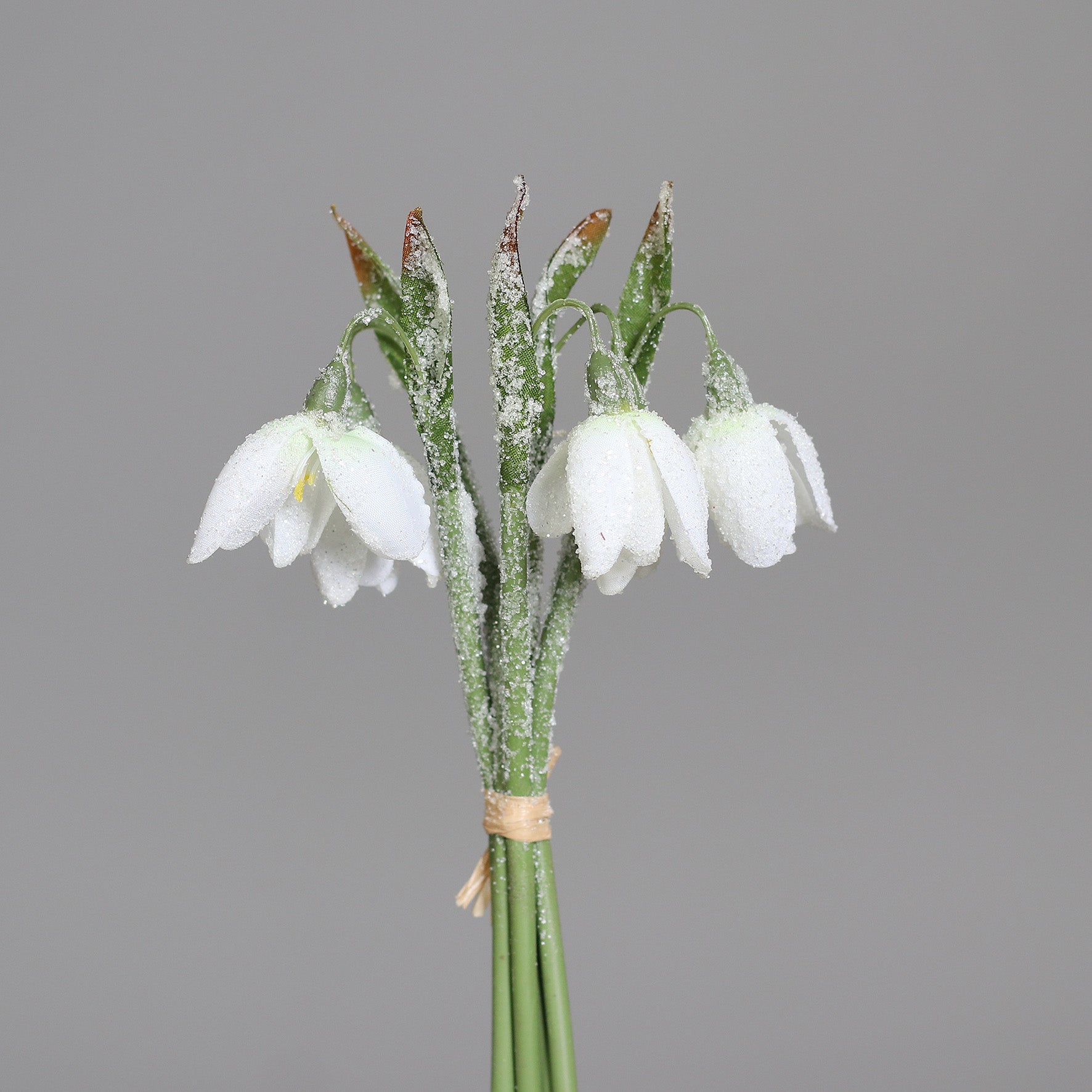 Buchet decorativ Ghiocei, 18 cm, Frost - Simona's Christmas