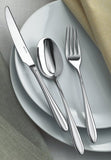 Cutit inox, colectia Dream - SAMBONET