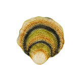 Farfurie de prezentare, Oysters &  Scallops - BORDALLO PINHEIRO