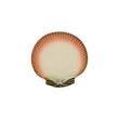 Farfurie cina, Oysters & Scallops - BORDALLO PINHEIRO