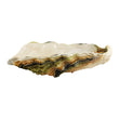 Vas central din ceramica, Oysters &  Scallops - BORDALLO PINHEIRO