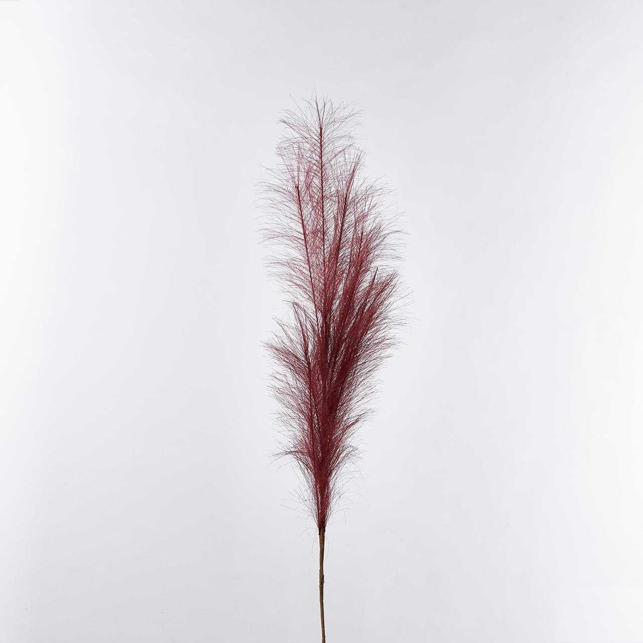 Ramura decorativa Pampas, burgundy, 100 cm - SIMONA'S COLLECTION