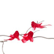 Ornament pentru brad pasare, rosu, 17 cm, Albane  - Simona's Christmas