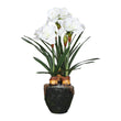 Aranjament Amaryllis, alb, 73 cm, SIMONA'S CHRISTMAS