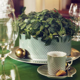 Bol pentru salata, 23 cm, Francis Carreau Vert - ROSENTHAL