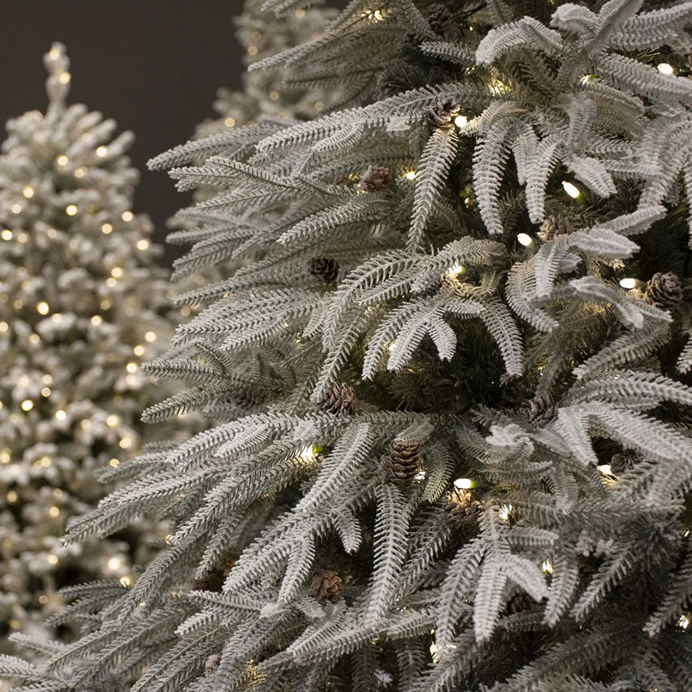 Brad artificial Flocked Caledonian, 750 leduri, 243 cm - SIMONA'S CHRISTMAS