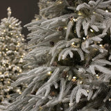 Brad artificial Flocked Caledonian, 750 leduri, 243 cm - SIMONA'S CHRISTMAS