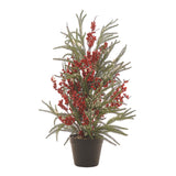 Decoratiune Brad cu berries in ghiveci, verde/rosu, 68 cm - SIMONA'S CHRISTMAS