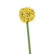 Floare decorativa Allium, galben, 56 cm - SIMONA'S COLLECTION
