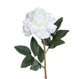 Floare decorativa Bujor, crem, 63 cm - SIMONA'S COLLECTION