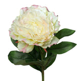 Floare decorativa Bujor, crem/roz, 63 cm - SIMONA'S COLLECTION
