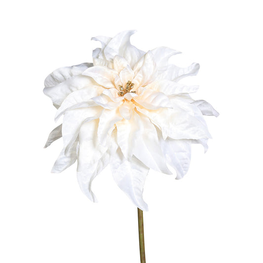 Floare decorativa Craciunita Amita, ivoar, 57 cm - SIMONA'S CHRISTMAS