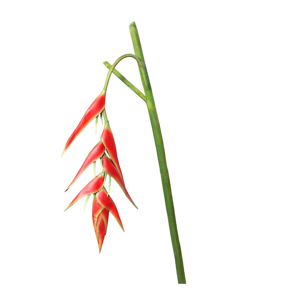 Floare decorativa Heliconia, rosu, 114 cm - SIMONA'S COLLECTION