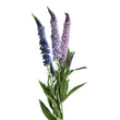 Floare decorativa Lavanda Veronica, mov/lila/roz , 76 cm - SIMONA'S COLLECTION