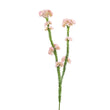 Floare decorativa Ozothamnus, roz, 58 cm - SIMONA'S COLLECTION