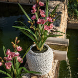 Ghiveci Cora, 24 cm - SIMONA'S COLLECTION