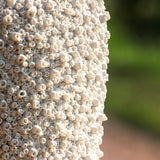 Ghiveci Cora, 24 cm - SIMONA'S COLLECTION