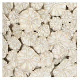 Ghiveci din ceramica, alb, 18 cm, Fiorinfiorello - SIMONA'S COLLECTION