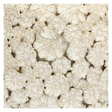 Ghiveci din ceramica, alb, 24 cm, Fiorinfiorello - SIMONA'S COLLECTION