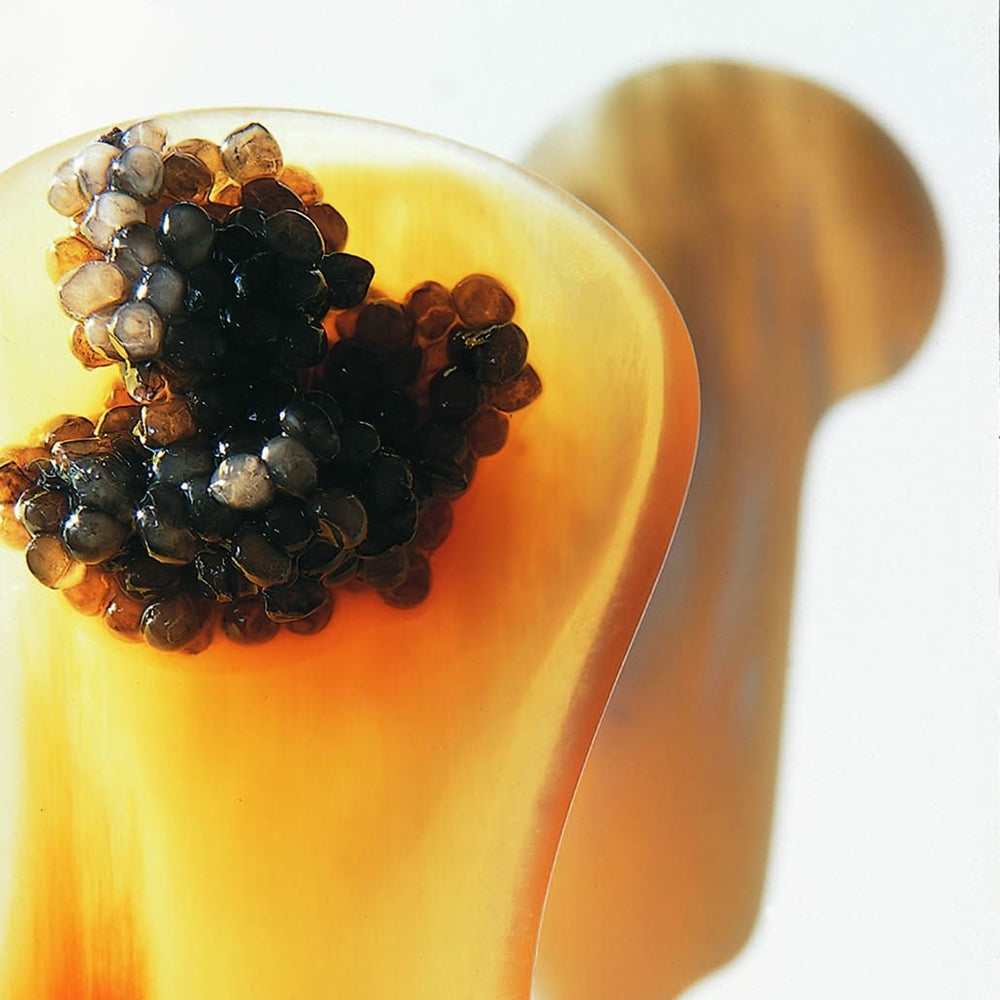 Lingura pentru caviar placata cu argint, Dante - ROBBE & BERKING