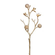 Ramura decorativa Craaspedia, auriu, 45 cm - SIMONA'S CHRISTMAS