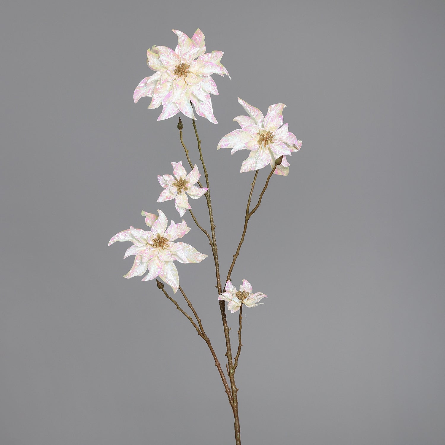 Ramura decorativa Craciunita, sampanie, 105 cm - SIMONA'S CHRISTMAS