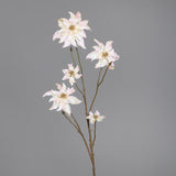 Ramura decorativa Craciunita, sampanie, 105 cm - SIMONA'S CHRISTMAS