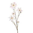 Ramura decorativa Craciunita, sampanie, 105 cm - SIMONA'S CHRISTMAS