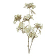 Ramura decorativa Hortensie, crem, 84 cm - SIMONA'S CHRISTMAS