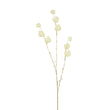 Ramura decorativa Physalis, crem/auriu, 96 cm - SIMONA'S CHRISTMAS