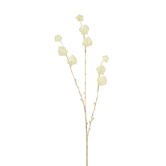 Ramura decorativa Physalis, crem/auriu, 96 cm - SIMONA'S CHRISTMAS