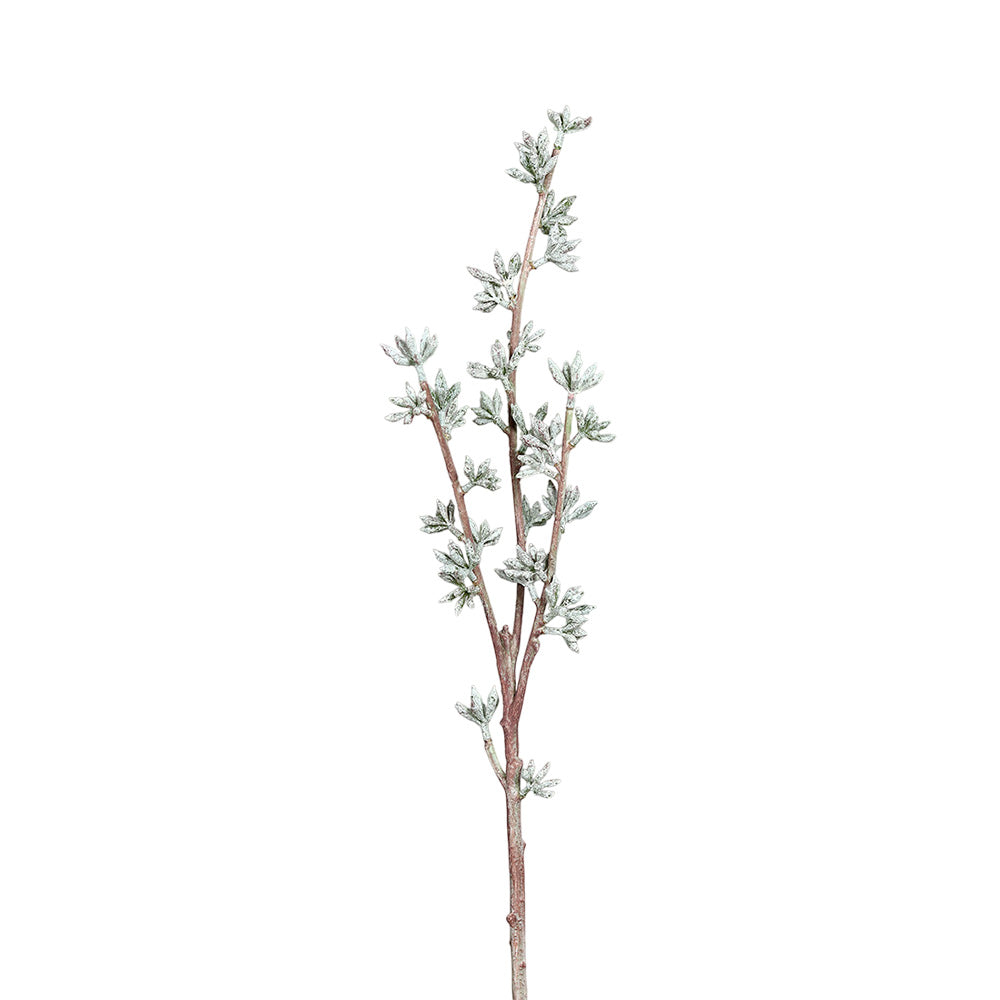 Ramura decorativa Seminte Eucalipt, verde, 75 cm - SIMONA'S COLLECTION