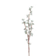 Ramura decorativa Seminte Eucalipt, verde, 75 cm - SIMONA'S COLLECTION