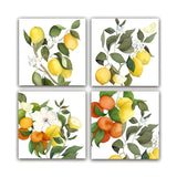 Set 4 servete de masa, 45 x 45 cm, Amalfi - NAPKING