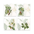 Set 4 servete de masa, 45 x 45 cm, Loma - NAPKING