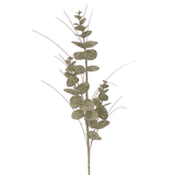 Ramura decorativa, verde, 72 cm, Eucalypt - Simona's Christmas