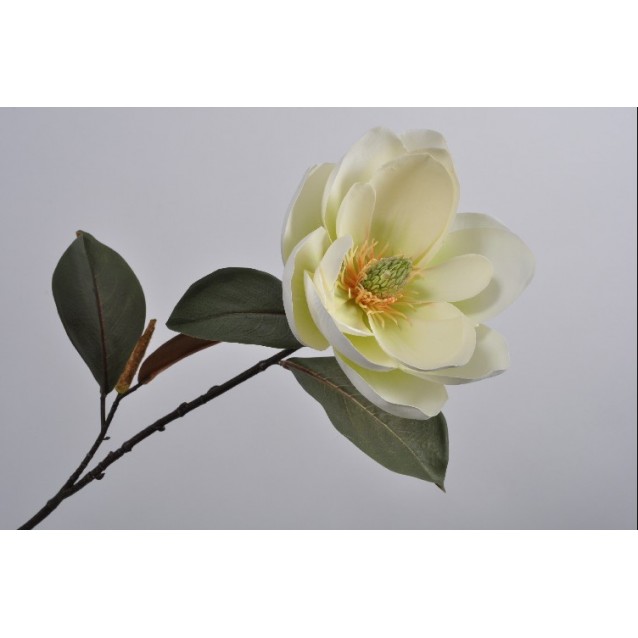 Ramura decorativa cu flori de magnolia, 76 cm, crem - SILK-KA 